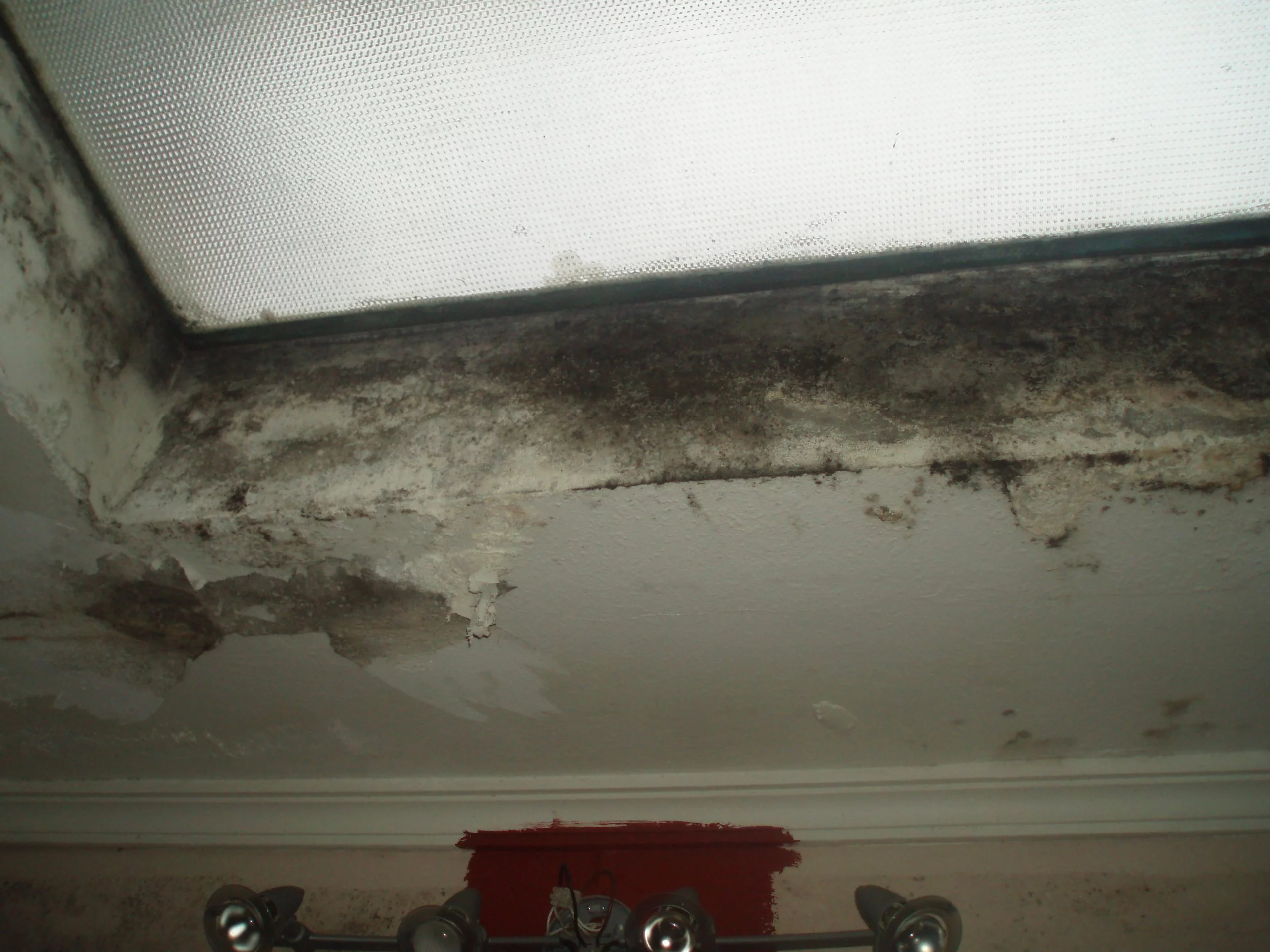 Detalle de una pared con revestimiento deteriorado por humedad